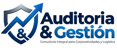 Auditoría & Gestión